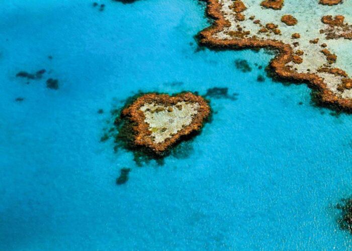 Eines der 5 schönsten Plätze Australiens ist das Great Barrier Reef