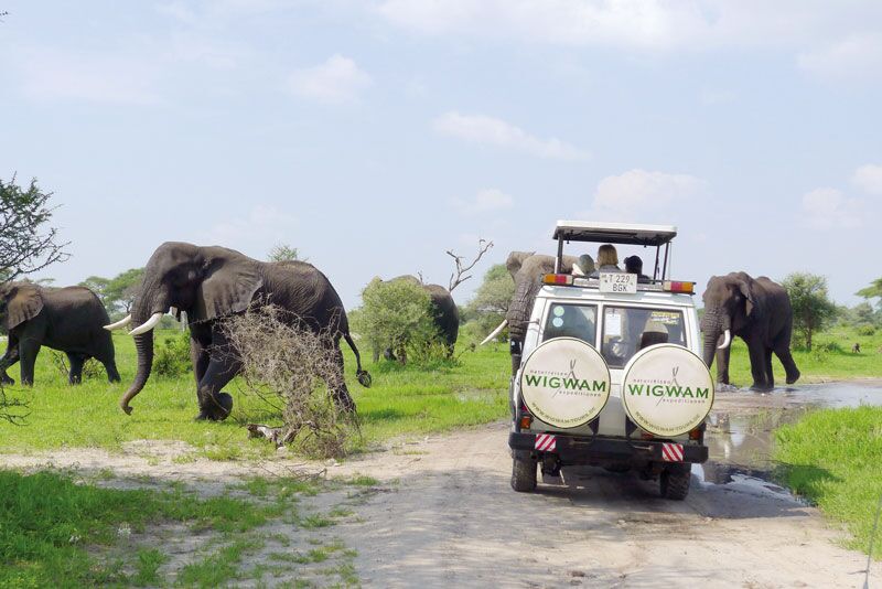 Einer der besten Orte für eine Safari in Tanzania ist der Katavi Nationalpark