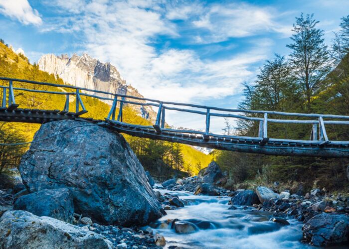 Die Wanderwege Chiles führen durch dichte Wälder und über Brücken