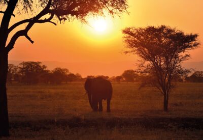 Ein gelungener Safaritag in Tanzania neigt sich dem Ende zu mit einem Sonnenuntergang