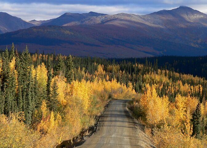 Rundreise durch die Wildnis Alaskas auf dem Alaska Highway