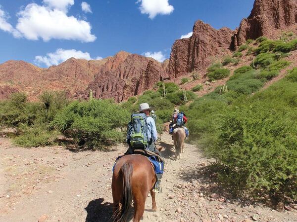 Auf dem Pferderücken von Tupiza in das Outback Boliviens durch baumhohe Säulenkakteen und Akazien