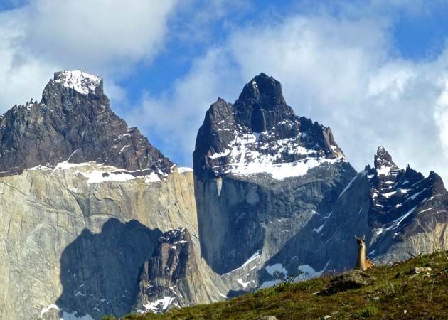 Während einer Wanderung im Paine Nationalpark die Flora und Fauna entdecken