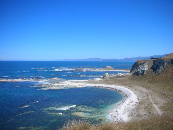 Eine der schönsten Küsten in Neuseeland ist in Kaikoura