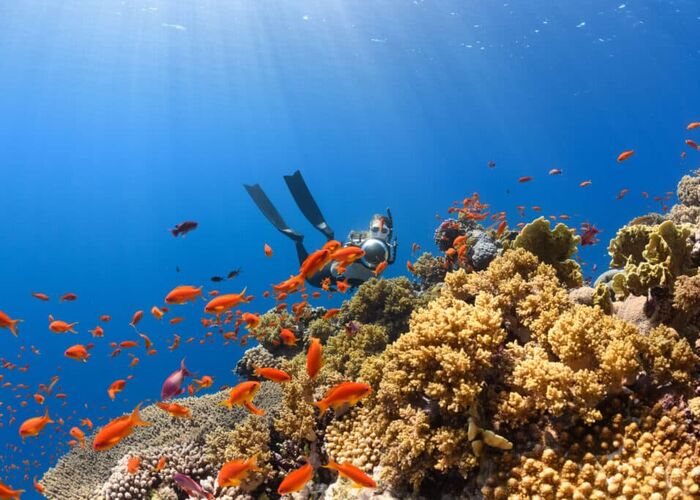 Auf unserer Reise durch Australien schnorcheln wir am bekannten Ningalooo Reef.
