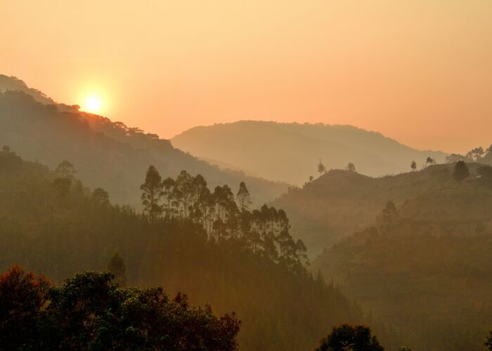 Stimmungsvolle Landschaft im Bwindi Nationalpark bei der Uganda Safari