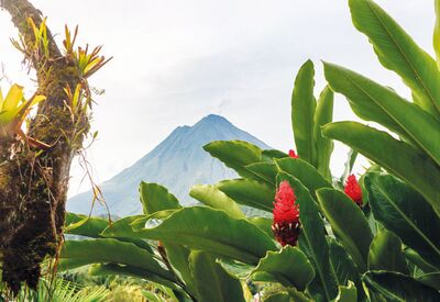 Inmitten der grünen Vegetation Costa Ricas stehen große Vulkane