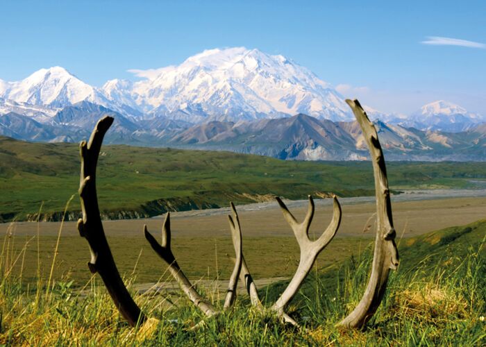 Die beste Reisezeit zum Trekking im Denali NP ist von Juni bis August