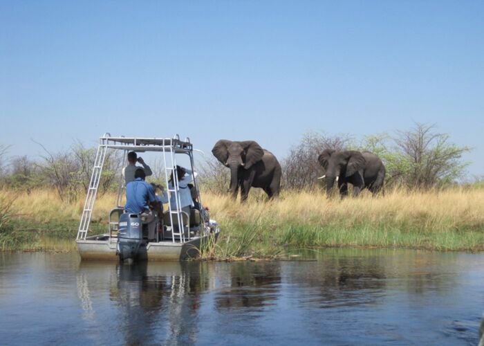 Bei der geführten Safari unternehmen wir eine Bootstour über den Chobe Nationalpark