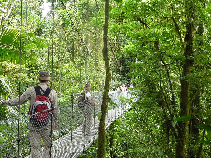 In Costa Rica gibt es zahlreiche Möglichkeiten für Hängebrückenwanderungen