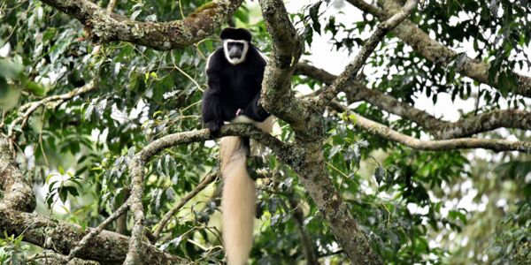 Unterwegs mit einer Kleingruppe im Norden Tanzanias
