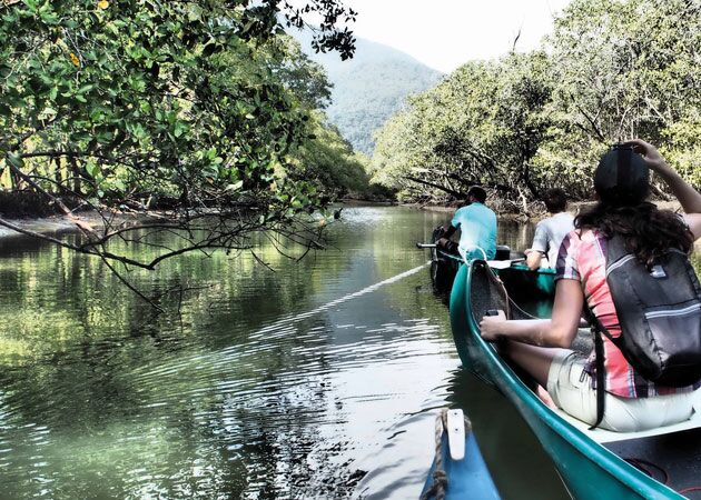 Tierbeobachtungen vom Boot aus im grünen Pantanal
