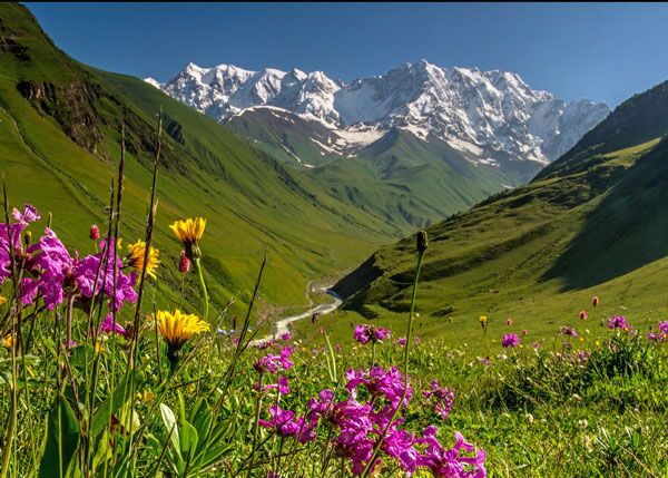 Die schönsten Wanderungen in Georgien sind im Kaukasus-Gebirge