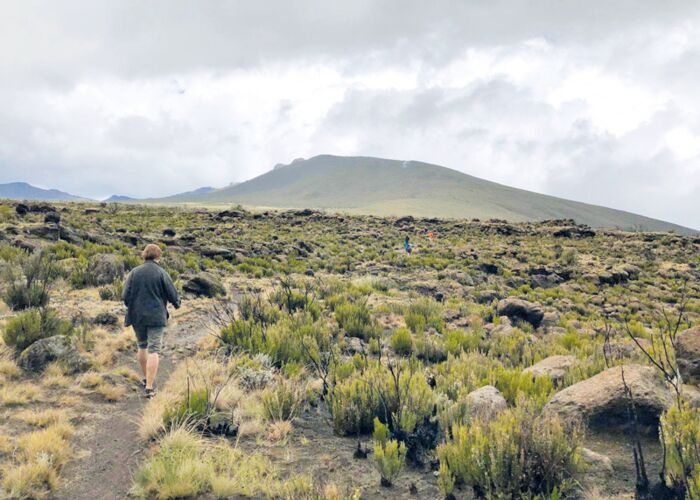 Geführte Wanderung mit Bergführer über das 3.500 m hohe Shira Plateau