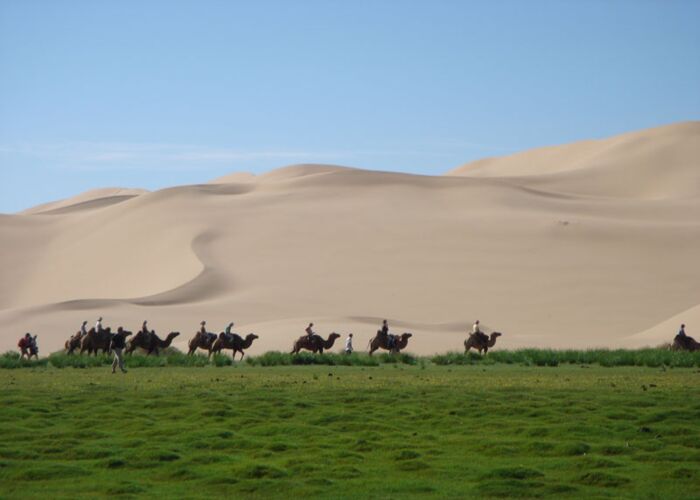 Während unserer Wanderreise in der Mongolei entdecken wir eine Kamel Karawane.