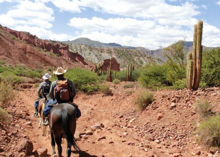 Geführtes Pferdetrekking von Tupiza in die Canyonlandschaften Argentiniens