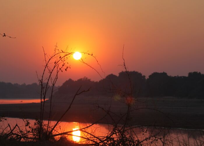 Pirsch am Lower Zambezi sind vor allem viele Safari Tiere zu sehen und und hören