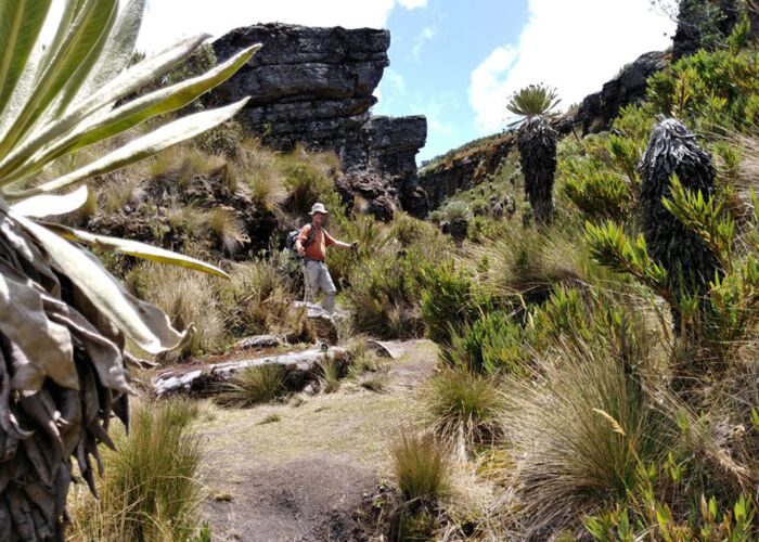 Auf Trekkingtour durch die Sierra Cocuy in Kolumbien