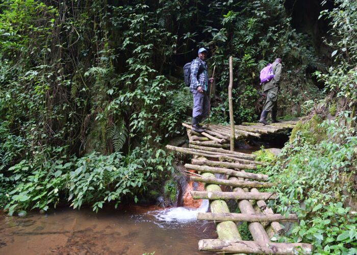 Im Ruwenzori Gebirge sollte man trittsicher beim Trekking sein