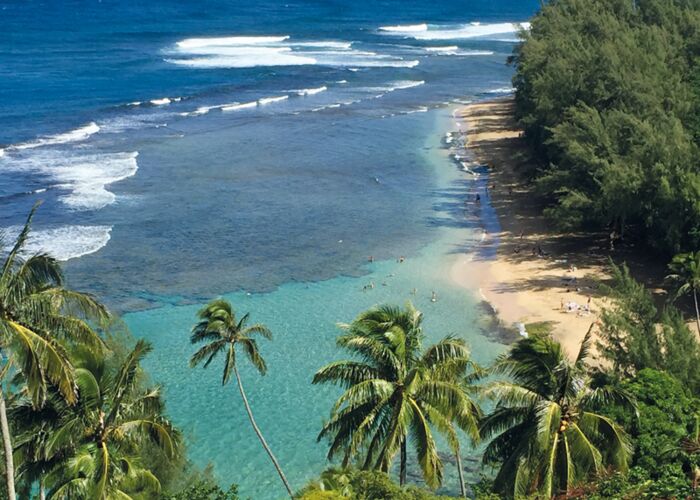 IMG 5785 Hawaii FH web