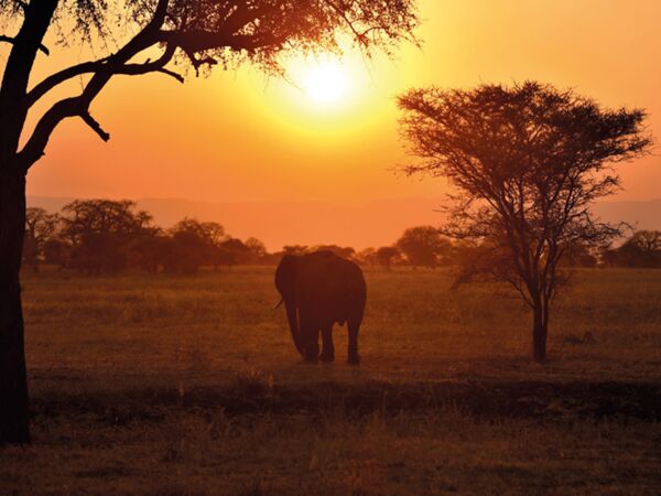 Ein gelungener Safaritag in Tanzania neigt sich dem Ende zu mit einem Sonnenuntergang