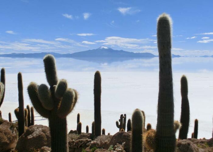 Wandern auf der Isla Incahuasi mitten im Salzsee Salar de Uyuni in Bolivien