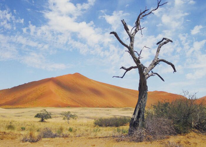 Auf Dünenexkursion bei der geführten Namibia Safari im südlichen Afrika