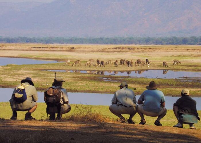 Die beste Reisezeit für das Okavango-Delta und Tierbeobachtungen ist von Juni bis Oktober