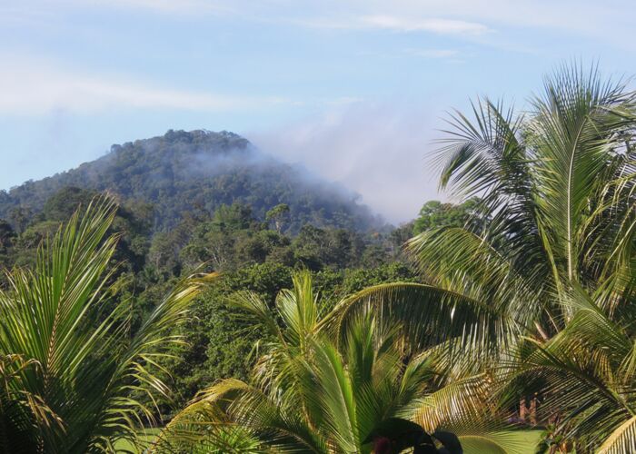 Wanderungen und Vulkanbesteigungen werden bei Guyana Reisen unternommen