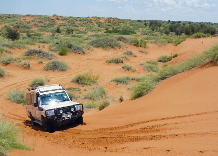 Auf der Wüstensafari in Namibia sind wir mit Allradfahrzeugen unterwegs