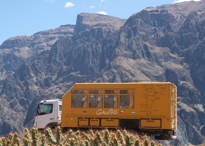 Gaucho Truck web7