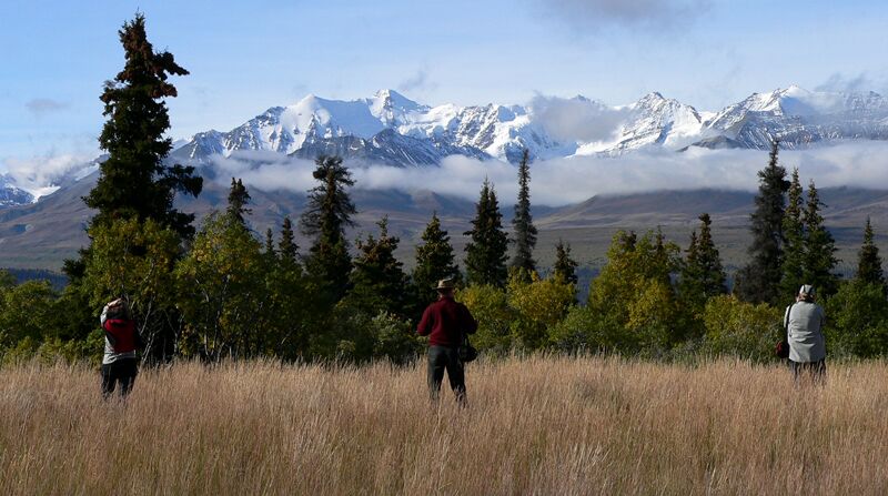 Wanderung durch Alaskas Wildnis mit Blick in die Alaska Range