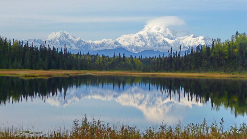 Ein weiteres Fotohighlight auf unserer Alaskareise: die schneebedeckte Denali Bergkette.