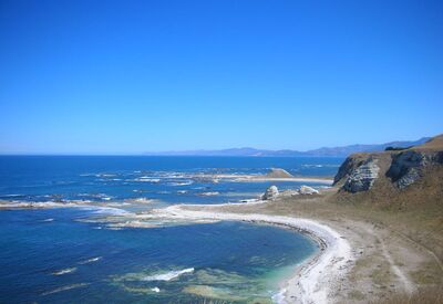 Eine der schönsten Küsten in Neuseeland ist in Kaikoura
