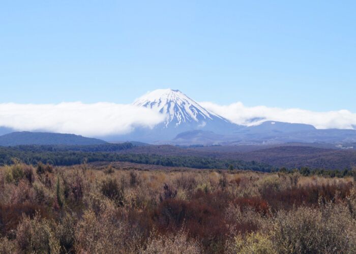 Trekkingtour um den Mount Egmont in Neuseeland