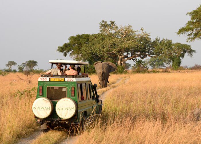 Die beste Reisezeit für eine Safari im Ishasha ist von Juni bis September