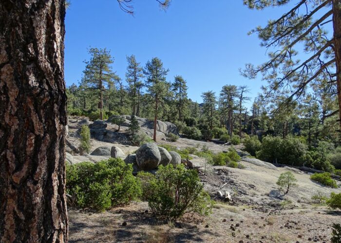 Blick auf den Nationalpark San Pedro Martir zum Ende der Reise nach Mexiko
