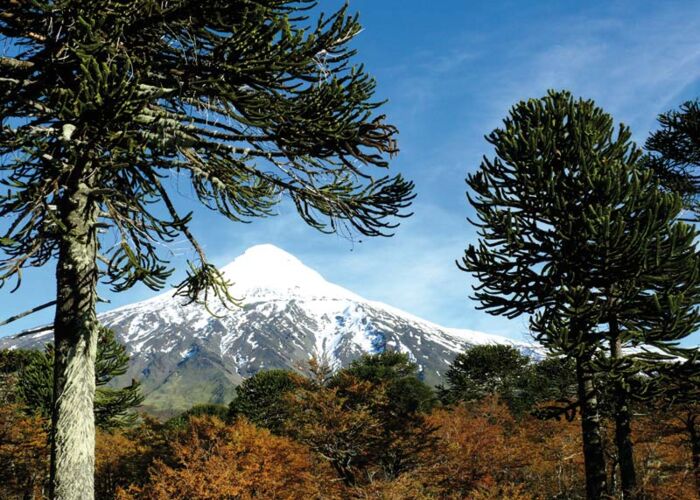 Im Seengebiet Chiles steht der aktive Vulkan Villarrica