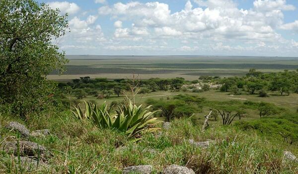 Geführte Kleingruppenreise zu den Höhepunkten Tanzanias