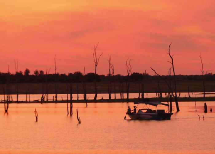 Im Matusadona Nationalpark unternehmen wir Walking Safaris und eine Bootstour