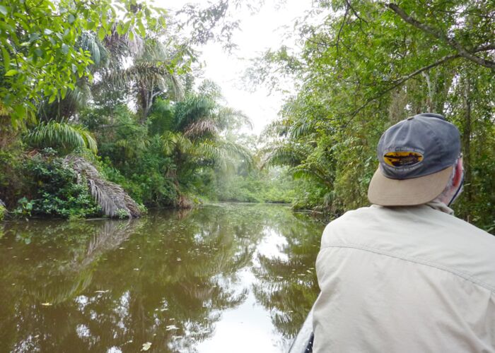 Die Naturführer zeigen uns vom Boot aus die Vogelwelt Costa Ricas