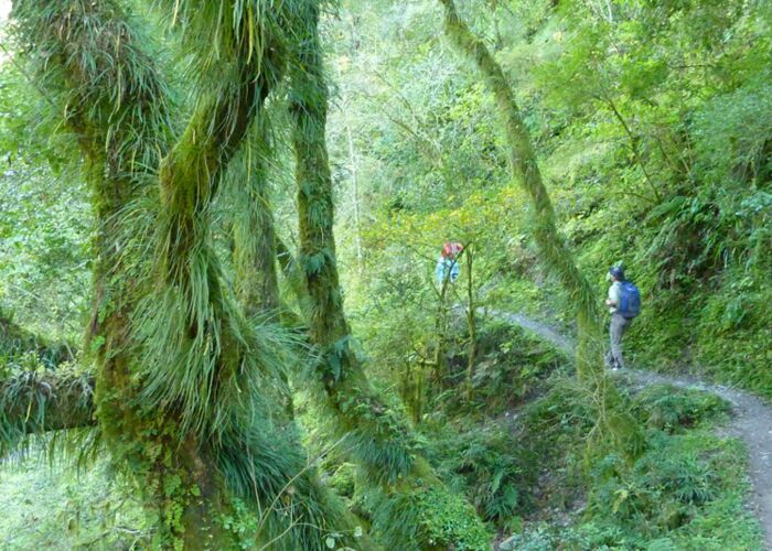 Trekking am ersten Tag des Calilegua Trekking von Salta in Argentinien