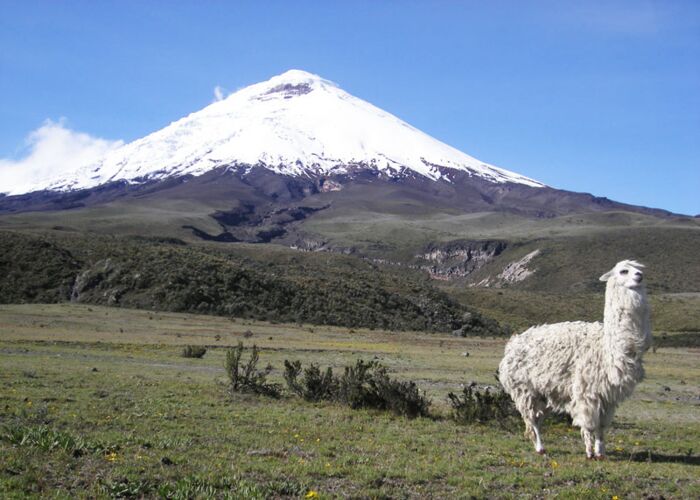 Bei der Kleingruppenreise wandern wir durch den Cotopaxi Nationalpark