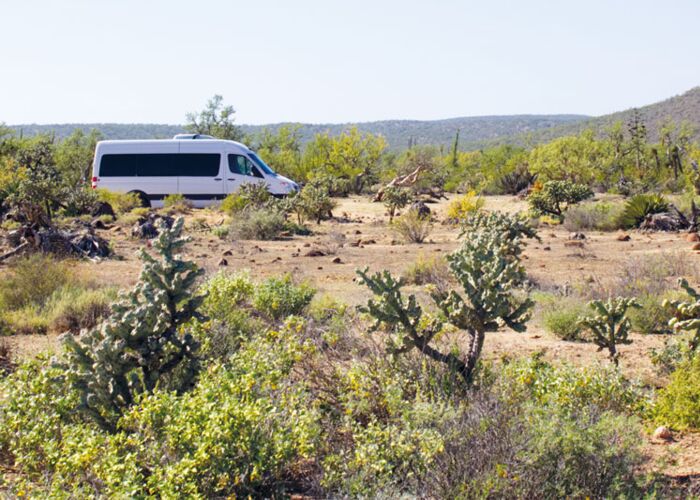 Komfortabel fahren wir während der Gruppenreise durch die Natur und können flexibel anhalten und die Reisen gestalten.