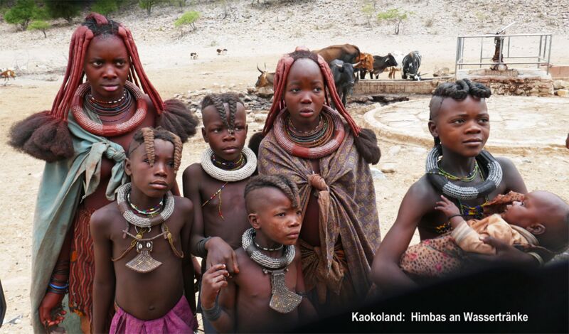 Wir treffen auf das Volk der Himba an einer Wassertränke im Kaokoland in Namibia