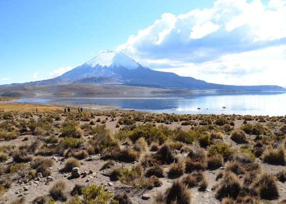 Reise durch die Wüstengegenden Chiles in den Lauca Nationalpark