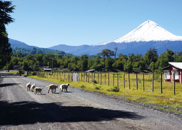 Bei der E-Bike-Tour kommen wir durch das Seengebiet am Vulkan Osorno