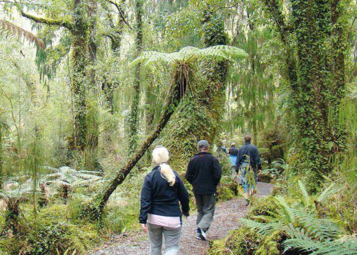 In Neuseeland gibt es eine Vielzahl an Wandermöglichkeiten