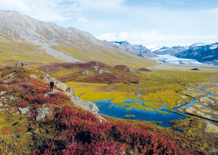 Geführte Trekking Reise durch Alaska mit Natur- und Tierbeobachtungen