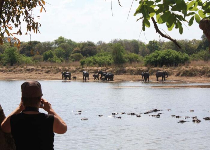 Auf Tiersafari durch den South Luangwa Nationalpark mit Pirschfahrten und Walking-Safaris